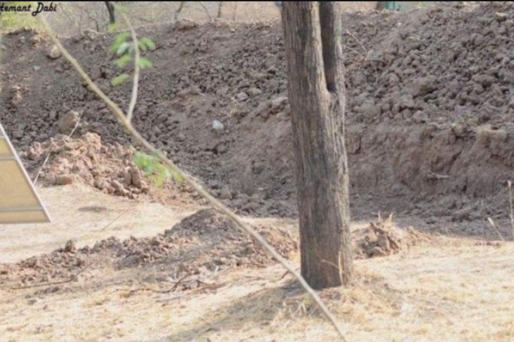 SKRIVALICA KOJA JE IZLUDELA SVET! Možete li da pronađete LEOPARDA na slici?! IZBI oči, ali niko da pogodi! (FOTO)