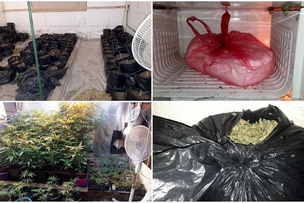 PALI ZEMUNCI U AKCIJI MUP-A: Policija otkrila leglo droge, isplivao snimak! (VIDEO)