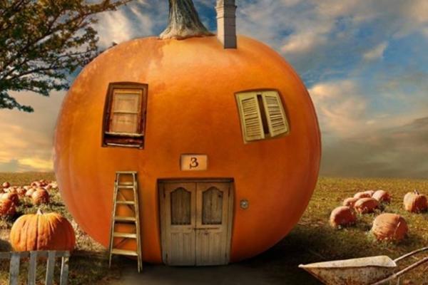 DA LI VIDITE ŽUVOTINJU NA OVOJ SLICI? Deca je ugledaju iz prve, a vi dobro protrljajte oči!