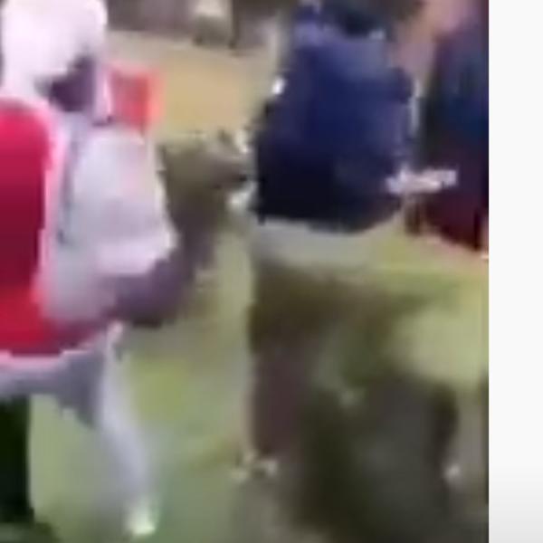 DROGIRANI HRVAT NAPAO SRBINA U VUKOVARU: 'Ajde Delijo, tuci se sa mnom - ali "komšije" su izokrenule celu priču!