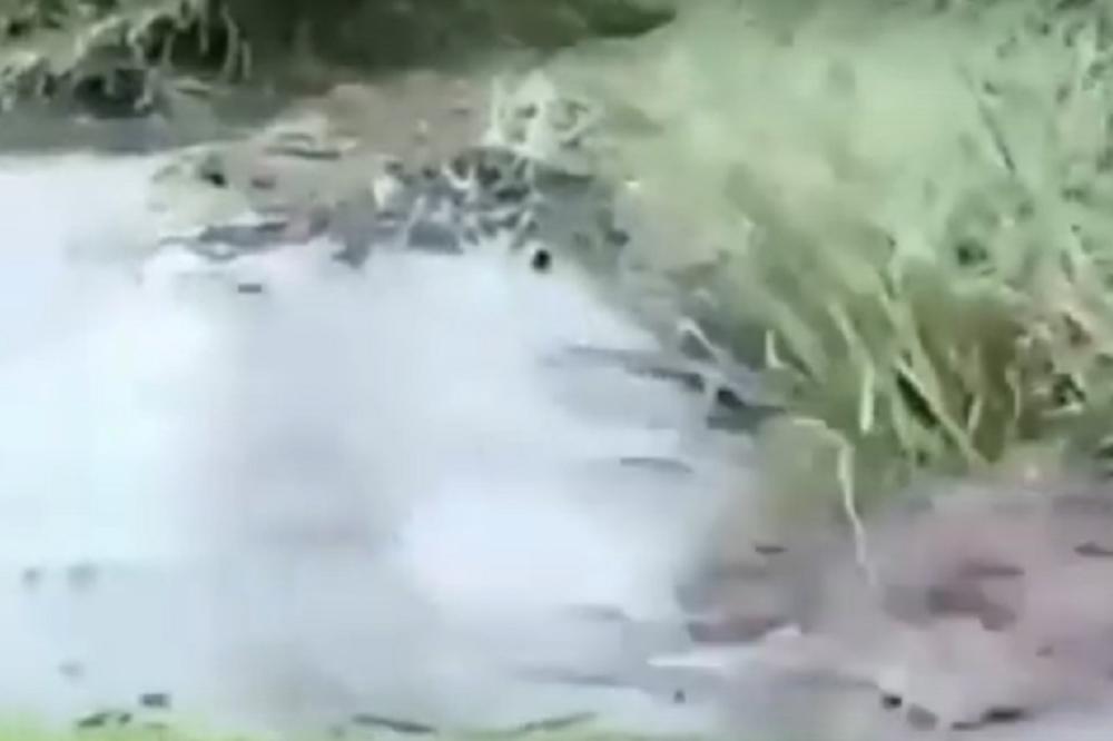 OVAKO NEŠTO NIKAD NISTE VIDELI U ŽIVOTU: Jezero krenulo da guta sve oko sebe kao sudopera! (VIDEO)