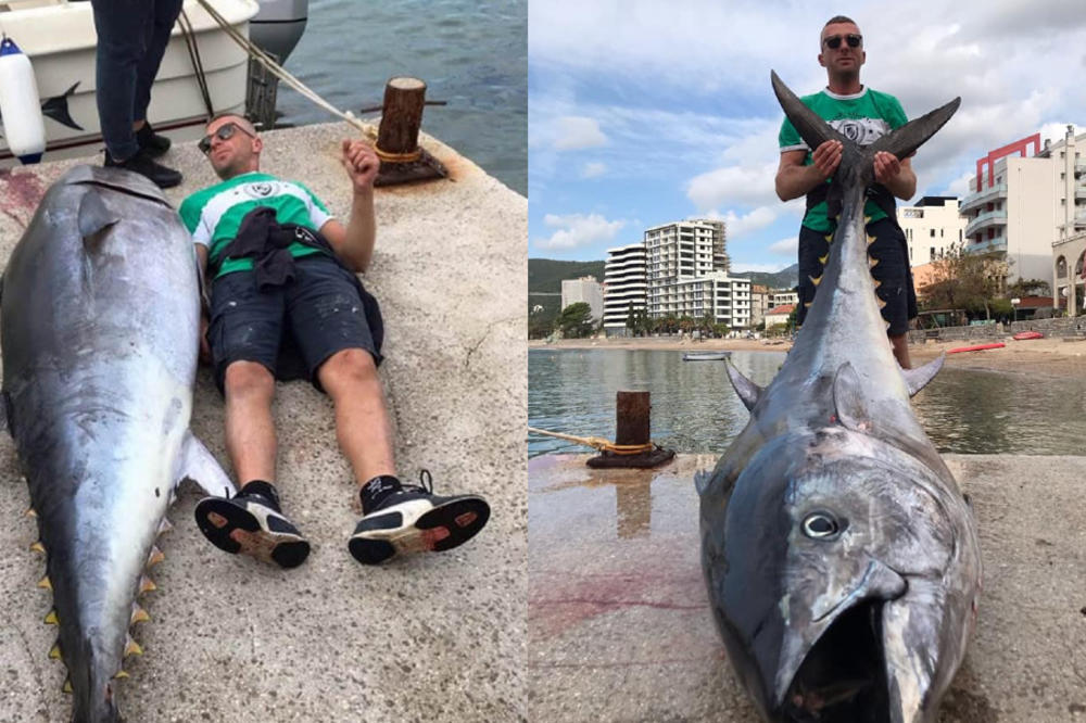 CRNOGORCI ULOVILI "KAPITALCA": Miroslav i Miloš se ponosno slikali pored "nemani" teške skoro 200 KILOGRAMA! (FOTO)
