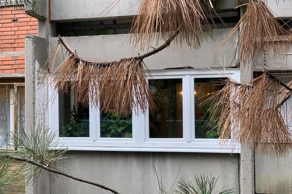 NAJNOVIJE VESTI O TELIMA SUPRUŽNIKA NAĐENIH NA VOŽDOVCU: Ovo su strašni detalji