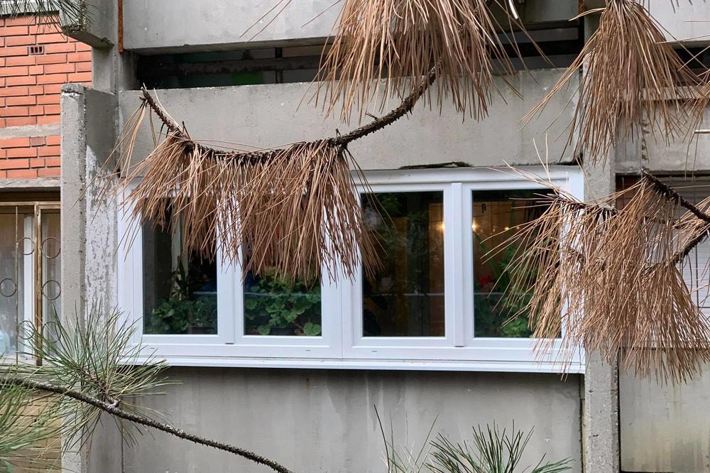 NAJNOVIJE VESTI O TELIMA SUPRUŽNIKA NAĐENIH NA VOŽDOVCU: Ovo su strašni detalji