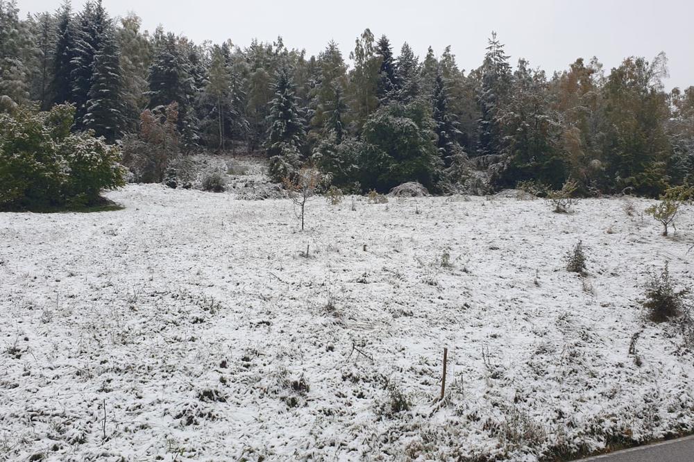 SNEG PREKRIO VRHOVE ZLATARA, ZLATIBORA I JADOVNIKA: Vozačima se savetuje OPREZ (FOTO)