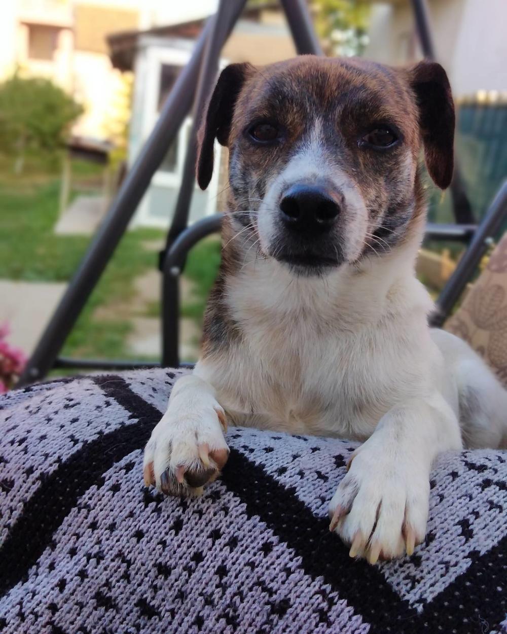 Kad mi kaže stani spontano