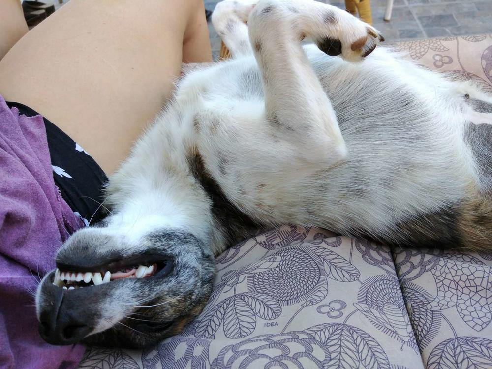 Ajmo dnevna doza maženja, kasniš!