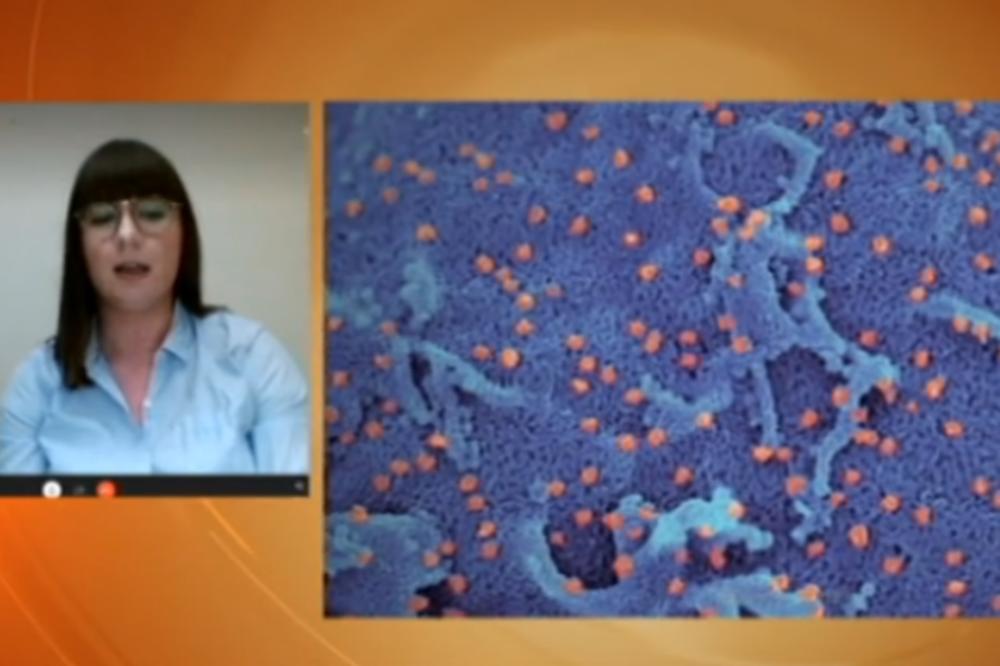 KORONA VIRUS NIJE NASTAO U LABORATORIJI: Srpska naučnica Isidora došla do NOVIH OTKRIĆA