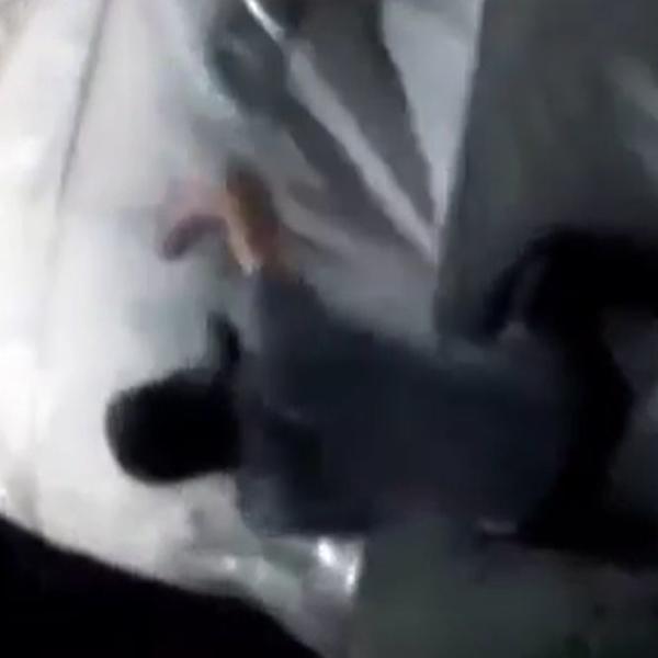 NAVIJAČ PARTIZANA SKAKAO PO TUNELU: Skandal kakav Srbija ne pamti! (VIDEO)