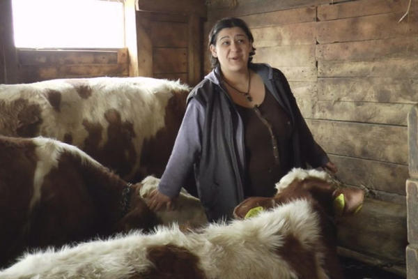 OVE ŽENE SU STUBOVI SRPSKIH SELA: Rade barabar sa muškarcima, odmaraju se samo NA CRVENO SLOVO! (FOTO)