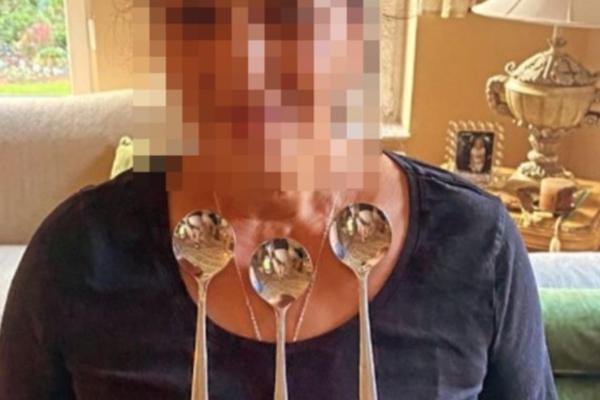 KUĆNA POMOĆNICA LEPE BRENE JE HIT NA INTERNETU! Viktor je snimao kako privlači METAL TELOM! Ovo je neverovatno!