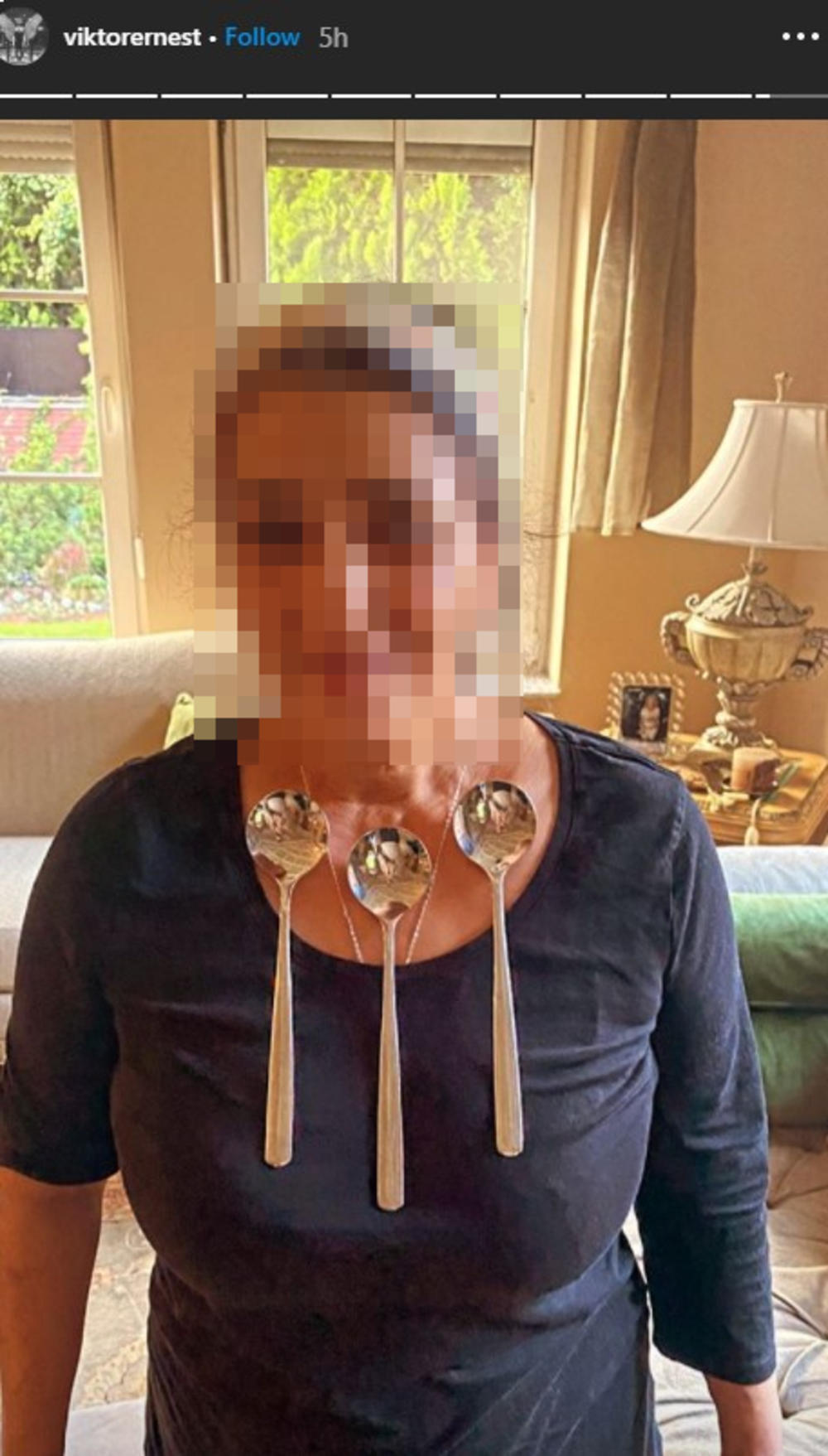 KUĆNA POMOĆNICA LEPE BRENE JE HIT NA INTERNETU! Viktor je snimao kako privlači METAL TELOM! Ovo je neverovatno!