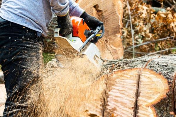 JEZIVA NESREĆA, NA MLADIĆA PALO STABLO! Ostao mrtav na mestu