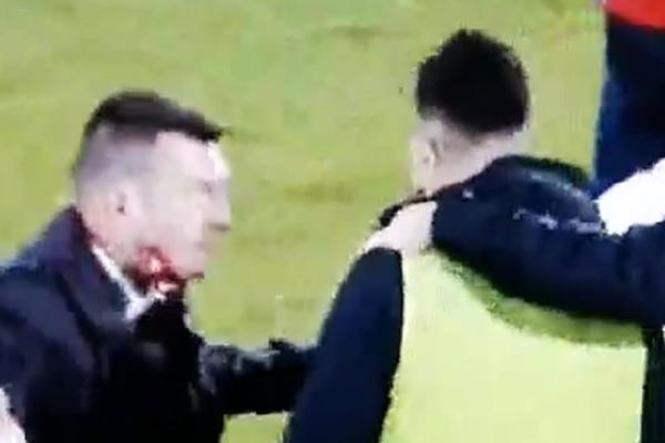 LOLA SMILJANIĆ U OKRŠAJU SA TRENEROM ZVEZDE: Eskalacija tenzije na derbiju, izbio težak incident! (VIDEO)