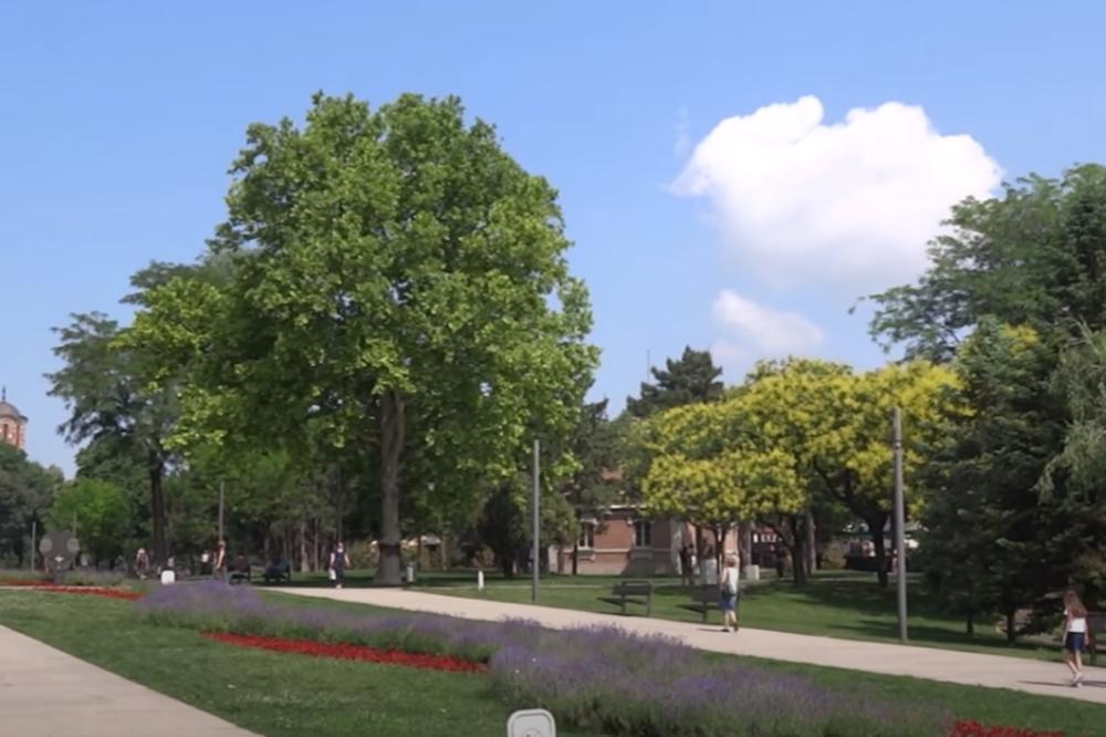 JEZIVA TAJNA TAŠMAJDANSKOG PARKA: Ni ne slutite PO ČEMU HODATE, najstrašnija priča ovde VEZANA JE ZA JEDNO DETE