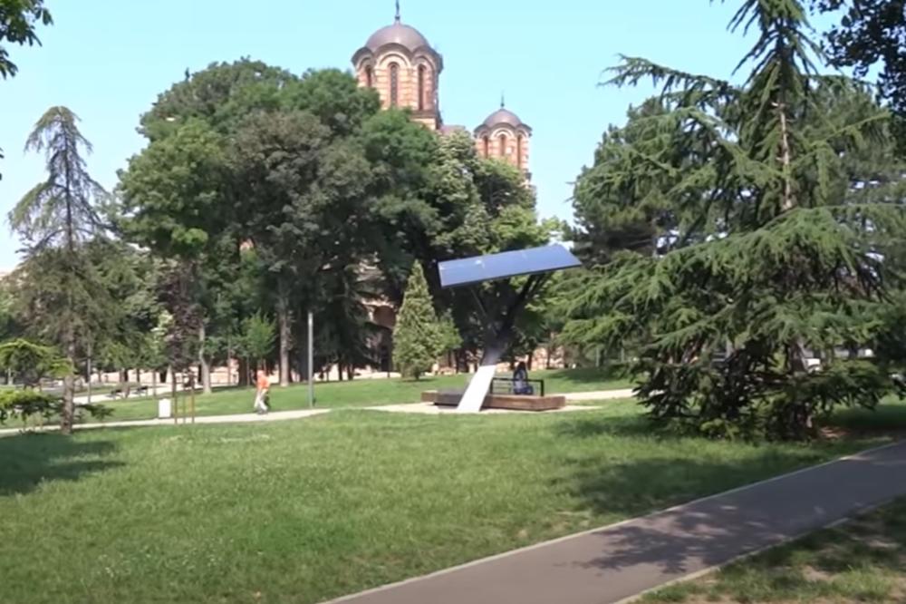 POČINJE SEČA 14 STABALA U TAŠMAJDANSKOM PARKU! Nakon toga priroda će dobiti novi izgled