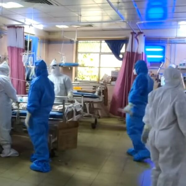 BRITANSKI SOJ KORONE ODNEO PRVI ŽIVOT U MAKEDONIJI: Ministar zdravlja odmah reagovao izjavom