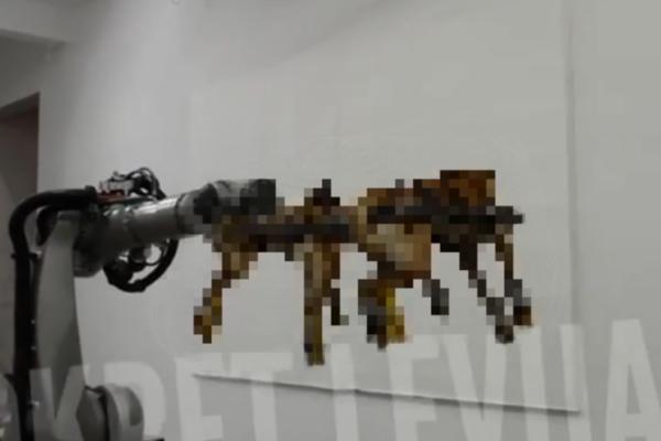 CELU ŠAPU, J**EM MU LEB! Vezali TRI PSA za robotsku ruku, pa ih vitlaju kroz vazduh dok životinje CVILE! (VIDEO)