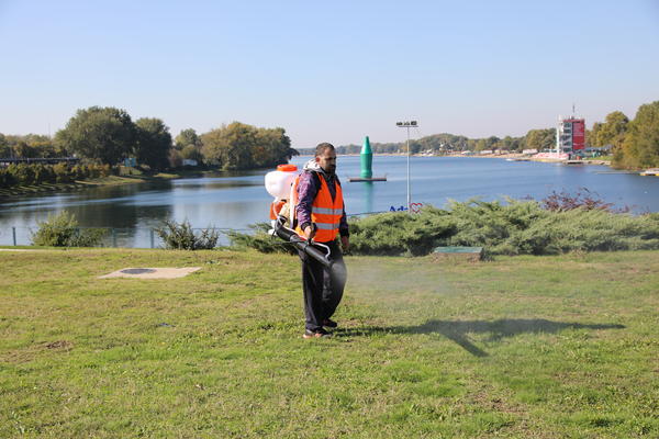 NA OVIM LOKACIJAMA U BEOGRADU IMA NAJVIŠE KRPELJA KOJI PRENOSE OPASNU BOLEST: Budite oprezni ako slavite 1. maj