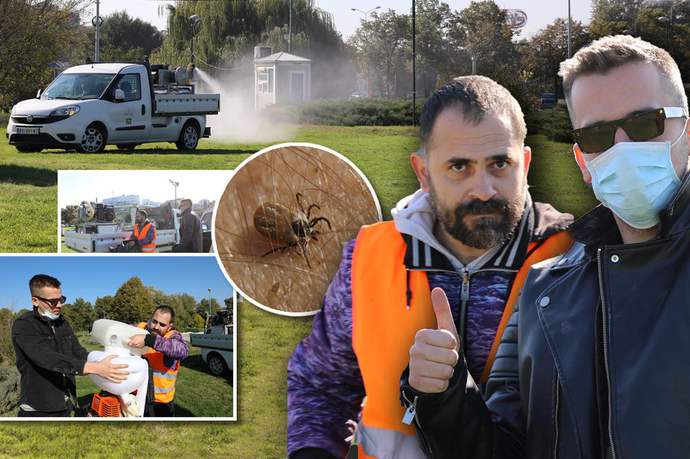 NAŠ DANILO JE PRVO POSMATRAO, A ONDA JE UZEO STVAR U SVOJE RUKE: Išli smo sa NAJJAČOM EKIPOM da ubijamo KRPELJE!