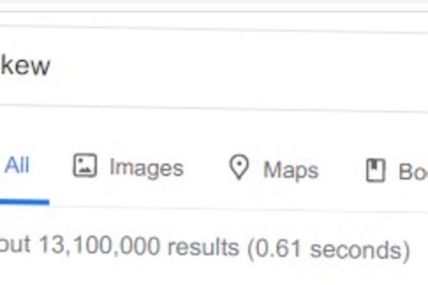 KAD UKUCATE OVU REČ NA GUGLU DESIĆE SE ČUDO! Mi smo pokušali i ostali bez teksta! (FOTO)