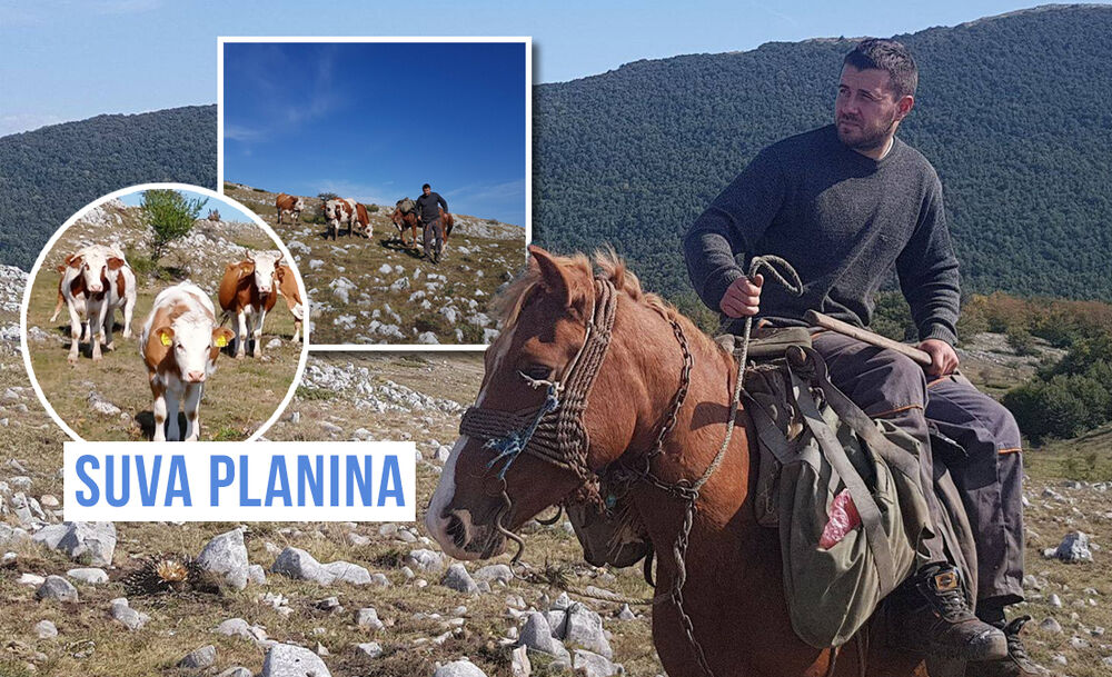 suva planina