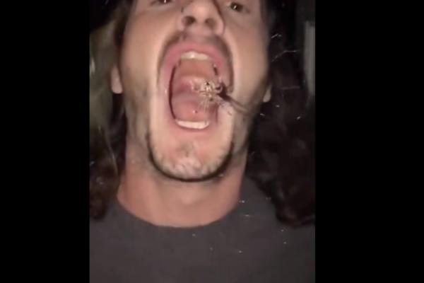 LIK JE LADNO POKUŠAO DA POJEDE PAUKA: Izneverovaćete kada vidite šta se dogodilo