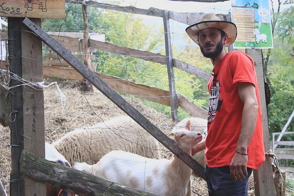 NA OVOM UŽIČKOM RANČU JE LISICA DOMAĆA ŽIVOTINJA:  Milovan je oživeo očevinu i napravio PRAVU SEOSKU OAZU! (FOTO)
