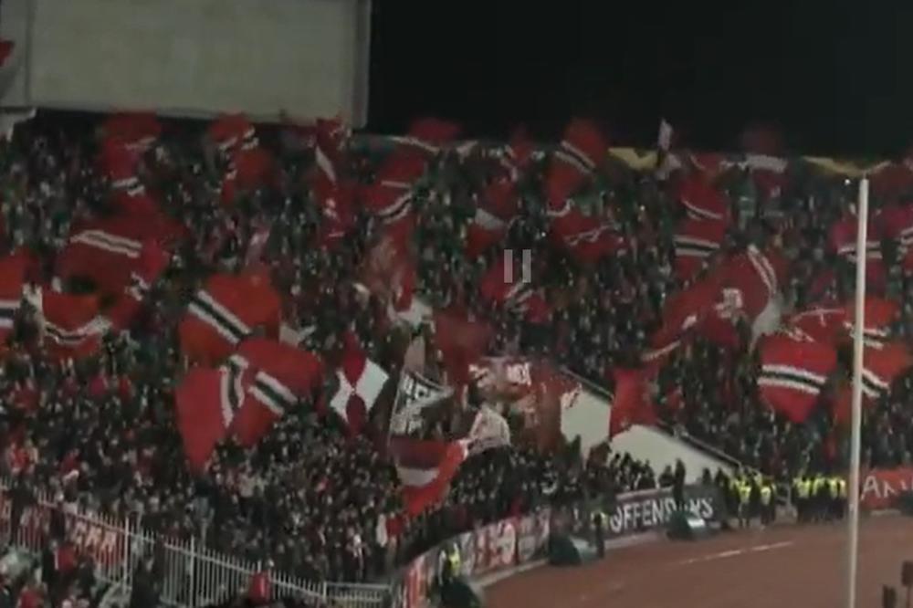 'KORONA PARTY': Braća Grobara pohrlila na stadion, skoro niko ne nosi masku - broj zaraženih će skočiti! (VIDEO)