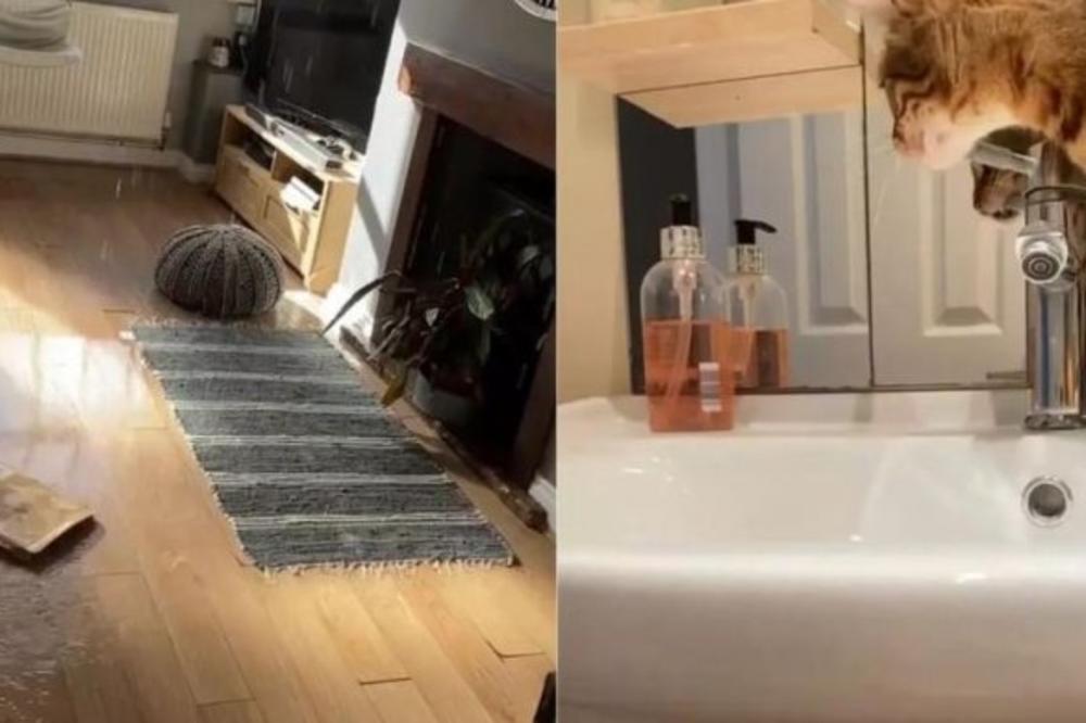 PAR SE VRATIO IZ ŠETNJE, ODMAH SU UŠLI U DNEVNU SOBU: Posle 5 minuta, umalo nisu UMRLI! (FOTO)