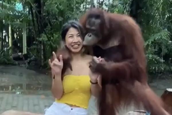 GLEDATE NA SOPSTVENU ODGOVORNOST: Majmun se*sualno spopao lepoticu usred bela dana - dala mu je sve! (VIDEO)