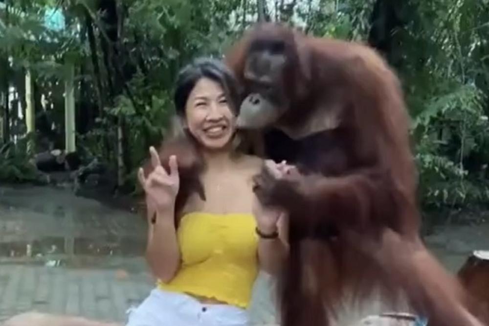 GLEDATE NA SOPSTVENU ODGOVORNOST: Majmun se*sualno spopao lepoticu usred bela dana - dala mu je sve! (VIDEO)