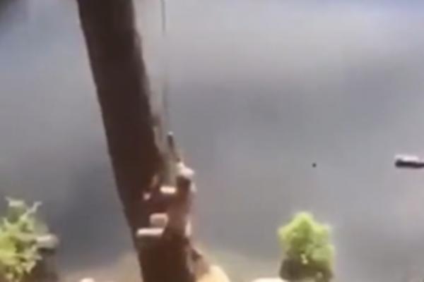 AU, MAJSTORE, PA TO MORA DA JE MNOGO BOLELO! Ovaj mladić se RASTURIO O DRVO, a hteo je da skoči u vodu! (VIDEO)