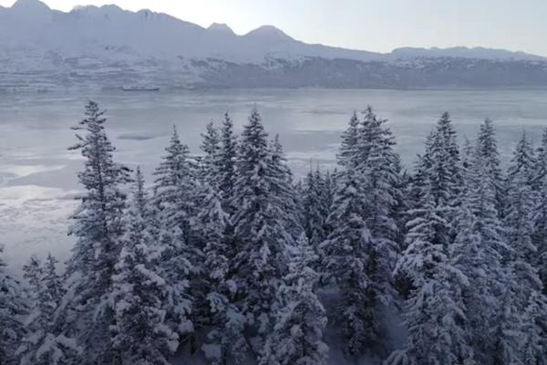 NAJSTRAVIČNIJE UPOZORENJE NAUČNIKA: Ako se ovo zaista desi...