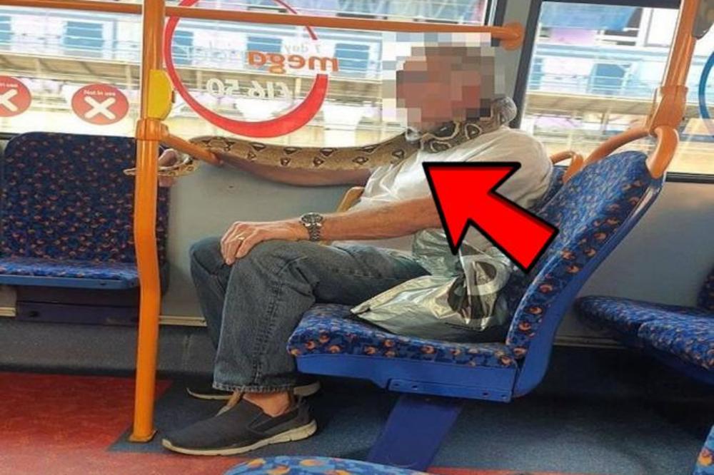 AKO VIDITE OVOG ČOVEKA - ODMAH BEŽITE! Umesto MASKE on ima PITONA na ustima, da, DOBRO STE ČULI! (VIDEO)