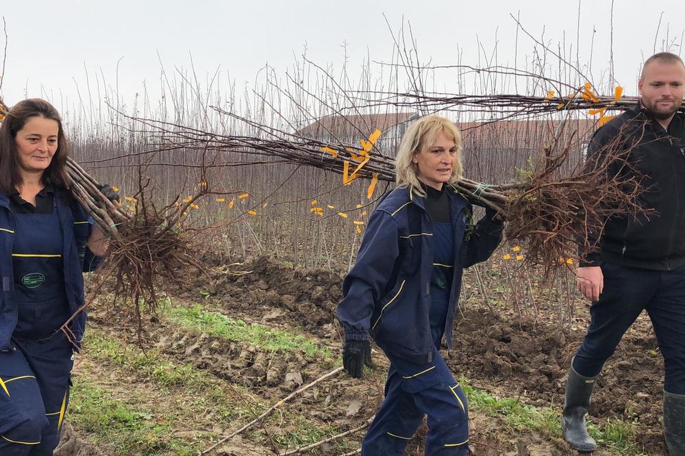 ČAČANSKA LEPOTICA SADA STIŽE I NA KUĆNU ADRESU: Proverite o čemu je reč (FOTO)