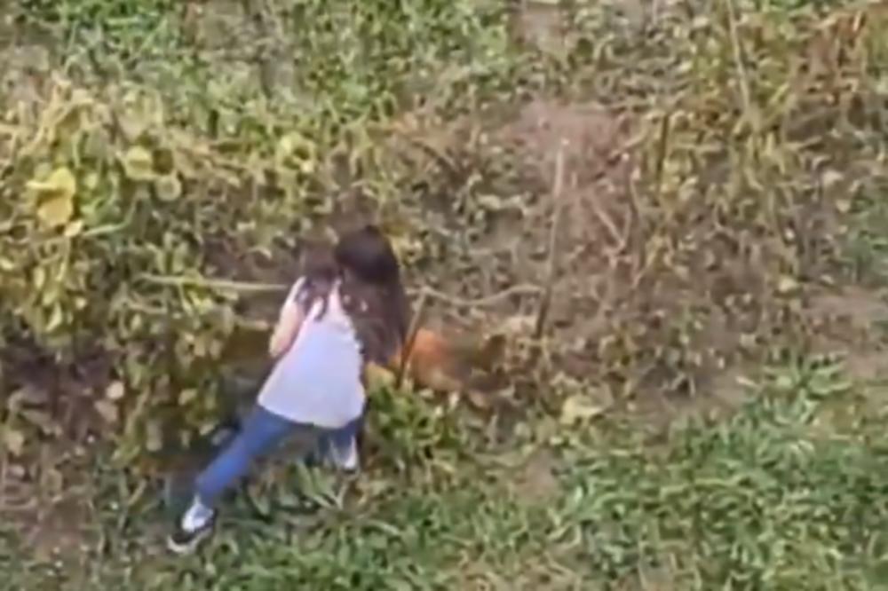 SNIMLJENO JEZIVO ZLOSTAVLJANJE ŽIVOTINJA U SRBIJI: Ovo ne sme da se dozvoli! (VIDEO)