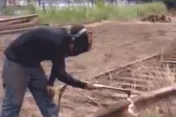 SVI MASOVNO OVO SKUPLJAJU: Dobijaju se velike PARE, zbog krize su CENE OBORILE REKORDE!