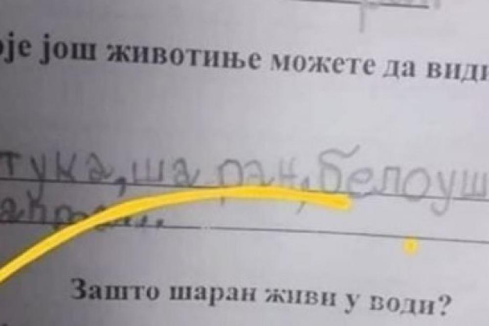 ZAŠTO ŠARAN ŽIVI U VODI? Školarac je odgovorio, a svi su se VALJALI OD SMEHA (FOTO)