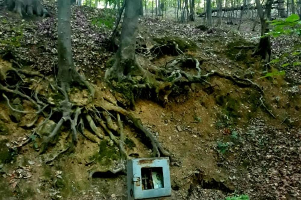 U OVIM ŠUMAMA SU SKRIVENI LEKOVITI IZVORI POSVEĆENI SVETOJ PETKI: I našu POZNATU GLUMICU SU IZLEČILI OD RAKA DOJKE!