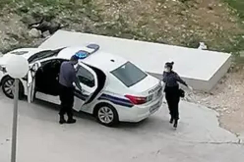 OVO JE HRVATSKA LJUPKA STEVIĆ: Uništavala mu je auto, ali to nije sve! Ovaj je prošao GORE NEGO SIMKE (VIDEO)