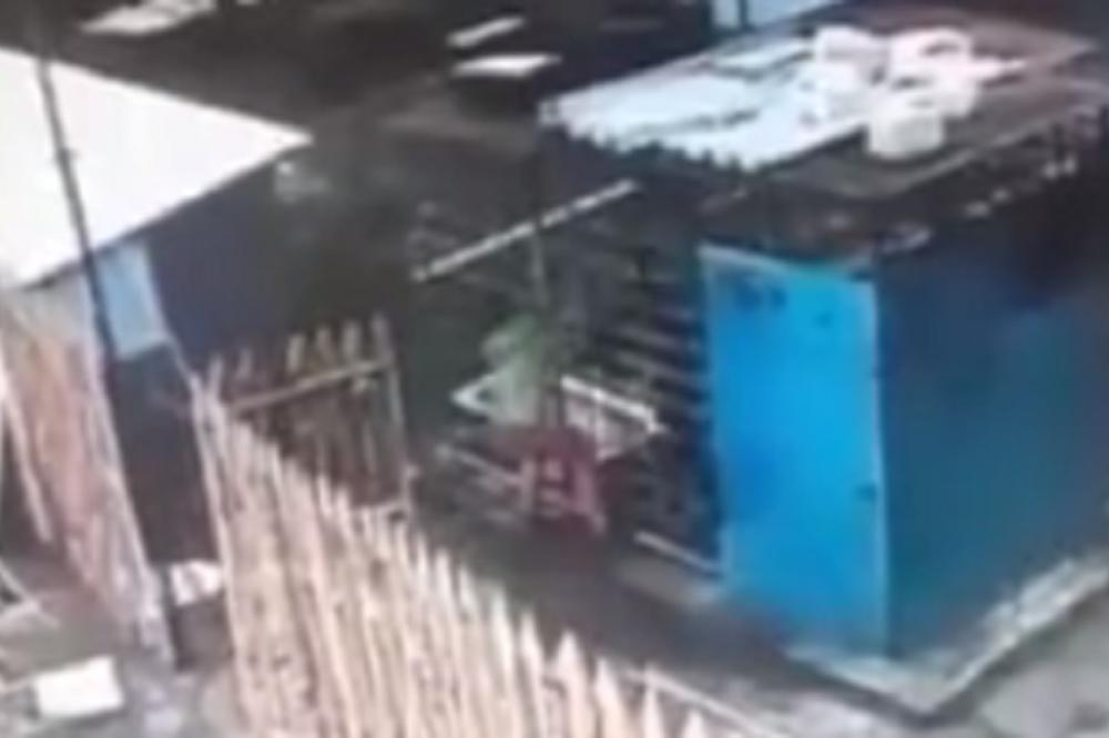 STAVILA JE RUKU NA KAVEZ SA MEDVEDOM, USLEDIO JE JEZIV NAPAD ZVERI: Zgrabio je za ruku i počeo da je uvlači (VIDEO)