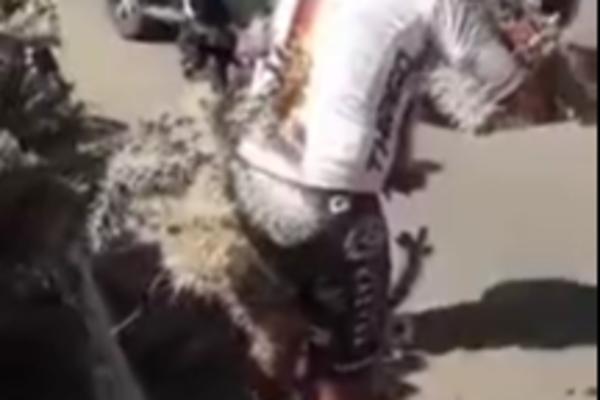 BICIKLISTA IZGUBIO KONTROLU NAD BICIKLOM PA SLETEO U KAKTUS! Od bodlji nije mogao ni da se POMERI! (VIDEO)