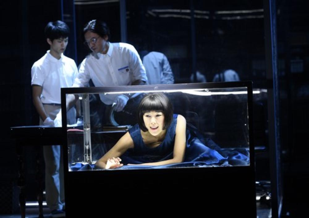 Prema njegovim delima urađene su brojne pozorišne predstave