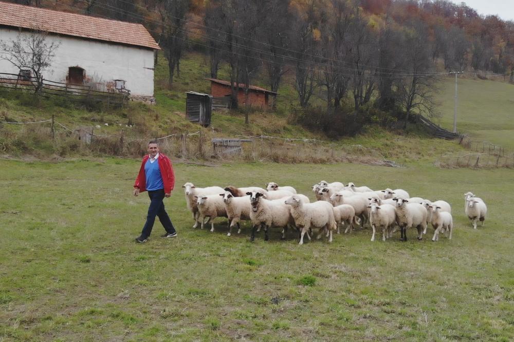 VUKAO GA JE KROZ ŠUMU, ZAKLAO I POJEO! Ivko iz ariljskog sela je zatekao užasan prizor, meštani strahuju za decu