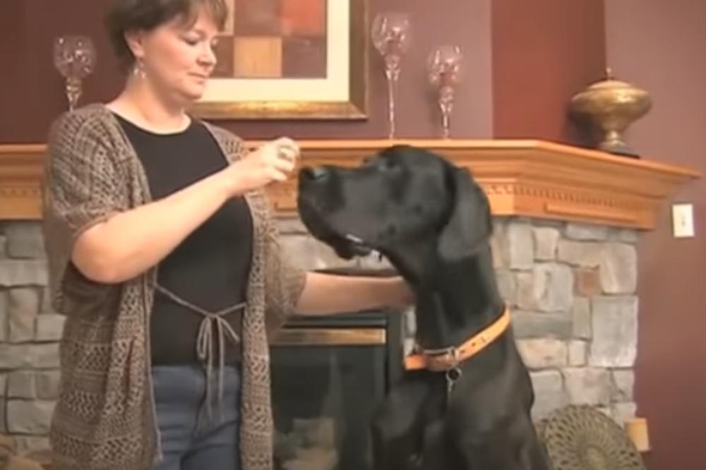 OVAJ PAS PEVA BOLJE OD NAJBOLJIH PEVAČA: Ovaj SNIMAK će vam sigurno ULEPŠATI DAN! (VIDEO)