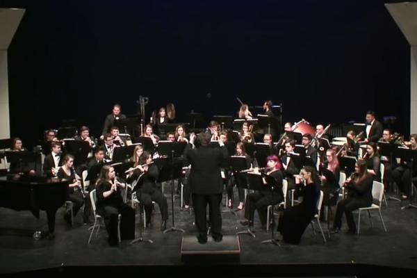 SVIRALA JE PRED PUNOM SALOM A ONDA SE DESILO OVO! Ceo orkestar se okrenuo ka njoj i zabrinuto je pogledao! (VIDEO)