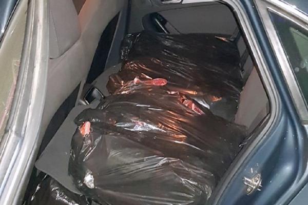 ZAUSTAVLJEN AUDI A4 KOD LESKOVCA: Policajci izvukli CRNE KESE, ovo je strašno šta ljudi rade! (FOTO)