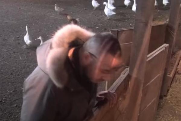 CAR DOŽIVEO NEVIĐENI ŠOK U ZADNJEM DVORIŠTU, UMALO NIJE UMRO OD STRAHA: Otišao po jaja pa se OHLADIO u sekundi!