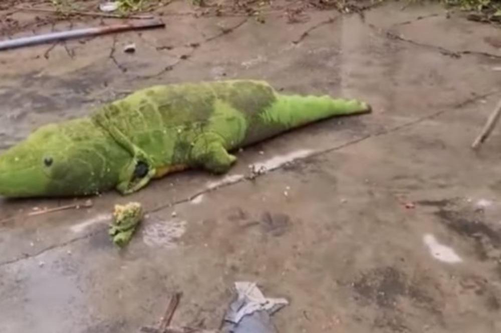 NAJJEZIVIJA DEČIJA IGRAČKA: Otvorili su je i OVO JE POČELO DA MILI, PRENERAZILI SU SE OD STRAHA! (VIDEO)